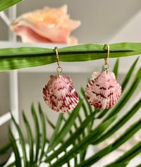 Image 2 of Pink Scallop Earrings E129