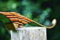 Image 5 of 2023-7: Walnut Longbow
