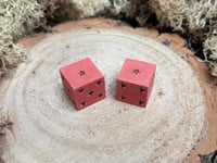 Image 3 of D6 Dice Pair Brick Red with Bronze Star Pips