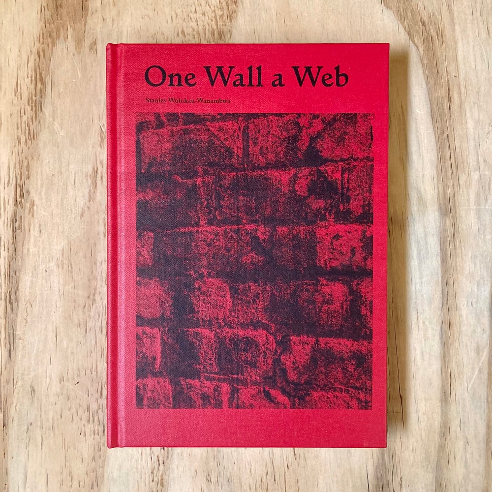 Stanley Wolukau-Wanambwa - One Wall A Web