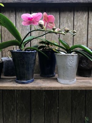 Image of Emily plant pot