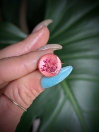 Image 1 of Desert Rose Pearl