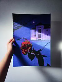 Image 4 of PICK ROSES AT NIGHT X