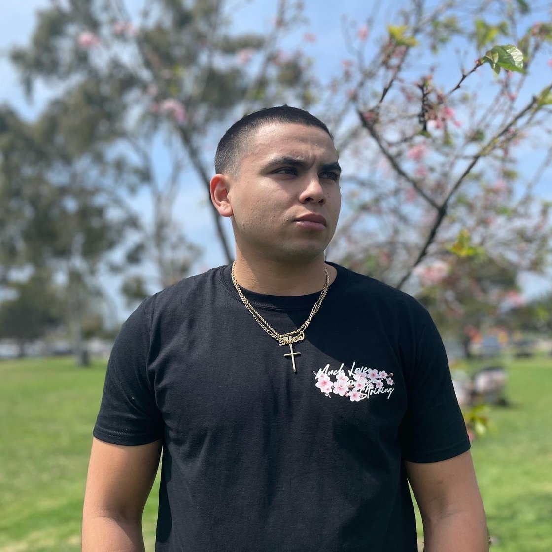 Image of MLCS Cherry Blossom Shirt