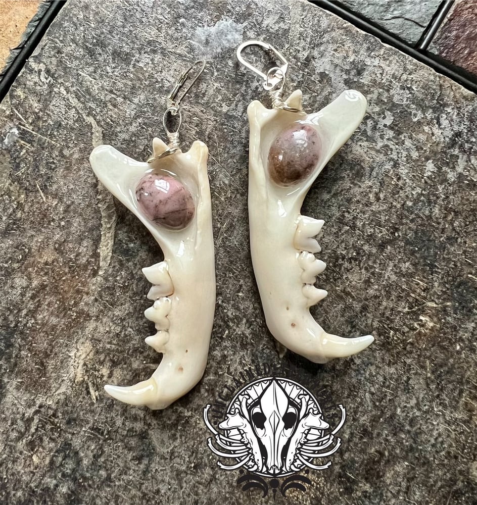 Image of Bobcat Jawbone Statement Earrings/ Ear Weights