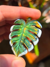 Image 2 of Green variegated uv monstera leaf pendant 
