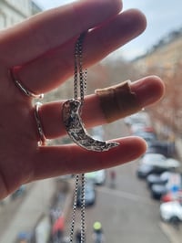 Image 4 of fangtoothwithgems 