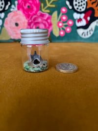 Image 1 of Mini cubone skull jar 