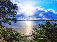 2026 Calendar Cover Picture 