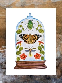 Image 6 of Insect Art Print June Dome, Under Glass Collection