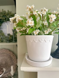 Image 3 of Dainty Forget-Me-Not Posy ( 6 Sprays )