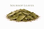 Herbal Apothecary 