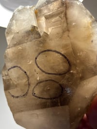 Image 4 of Smoky Quartz Enhydro Multi Terminated Crystal | Zambia #2966 