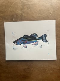 Original reduction print - rainbow bass