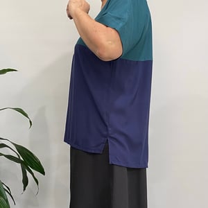 Image of blue and green top