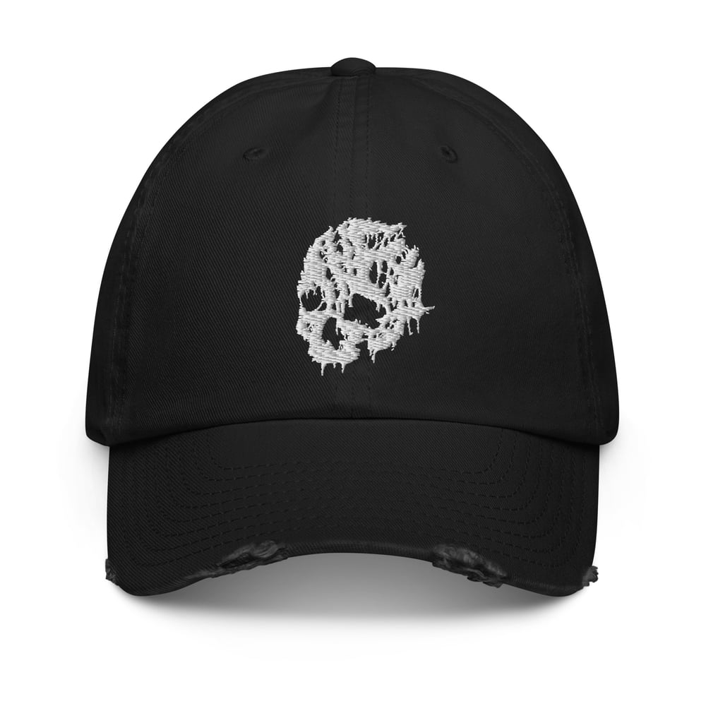 Image of PiTS HAT