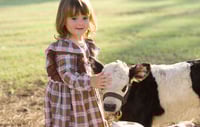Image 6 of Professional photos with our brand new baby highland cow! 