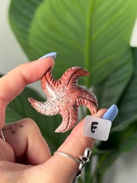 Image 5 of CHOOSE YOUR OWN MINI SOAPSTONE STARFISH