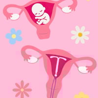 Emotional Support Socks - Uteri