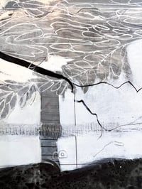 Image 2 of Seen and Not Seen- Deborah Bowen