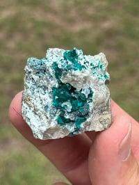 Image 2 of Dioptase On Matrix Specimen #2618