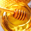 The Handy Bee Hand Balm-Honey Scent