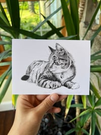Image 2 of Cat Trio Greeting Card Pack