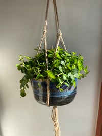 Image 3 of Hanging macrame planter