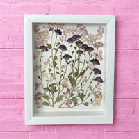 Image 2 of Genuine Chrysanthemum And Hydrangea Wildflowers In 8" X 10" Shadow Box (Item# 202205LS)