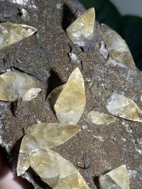Image 9 of XXL SWEETWATER CALCITE WITH PYRITE -MISSOURI- PORCUPINE POCKET 2025 A