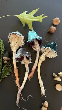 Image 1 of Blue cap mushroom brooch 