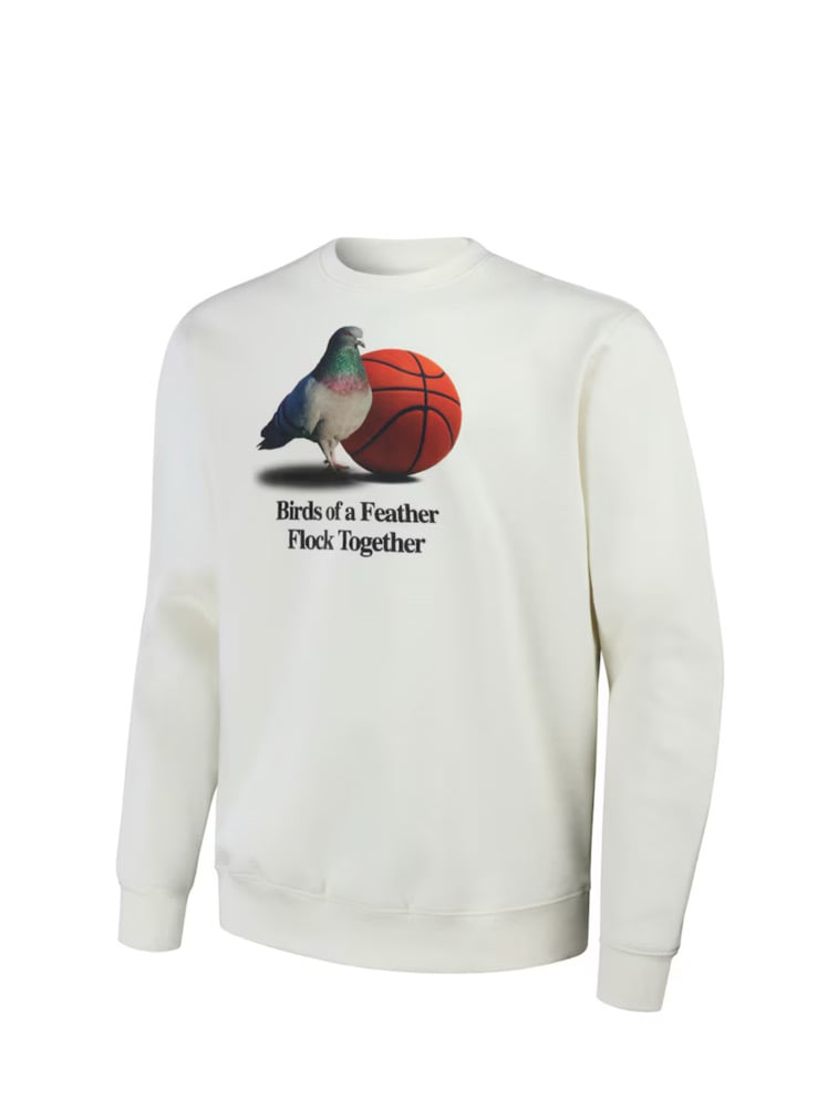 Image of NBA Crew neck sweater