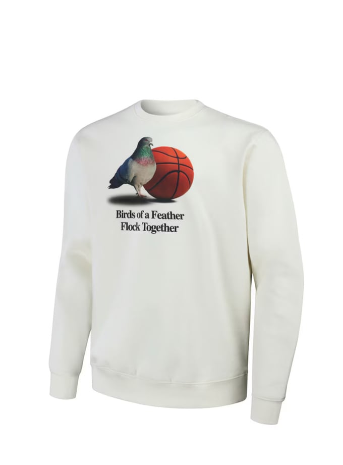 Image of NBA Crew neck sweater