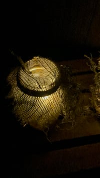 Image 4 of Swamp Jars