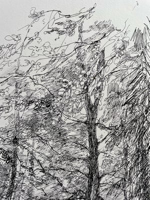 Image of VINTAGE DUTCH DRAWING: LANDSCAPE #15