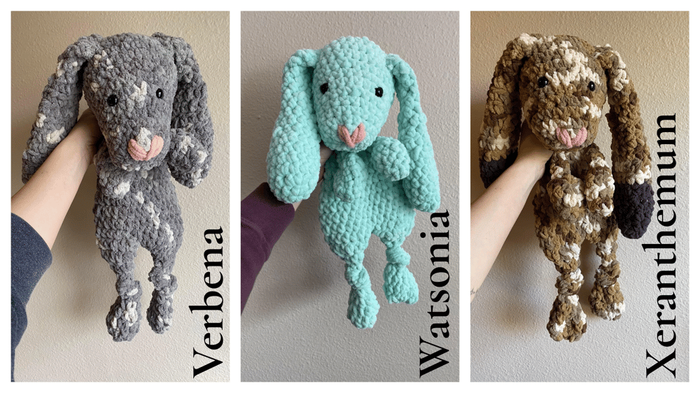 Honey Bunnies