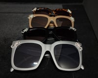 Image 3 of Baby Scorpio 