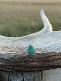 Image 1 of The Saddle Ridge 