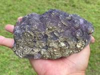 Image 4 of Purple Botryoidal Fluorite With Cubic Pyrite Specimen #447 