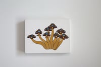 Image 1 of mal de ojo 3