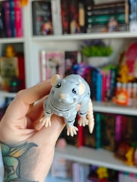 Image 2 of Rata gris claro 