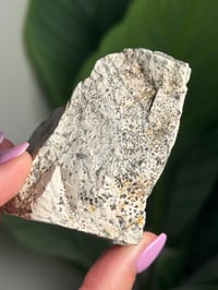 Image 3 of SELF STANDING DENDRITIC FELDSPAR -ITALY- I