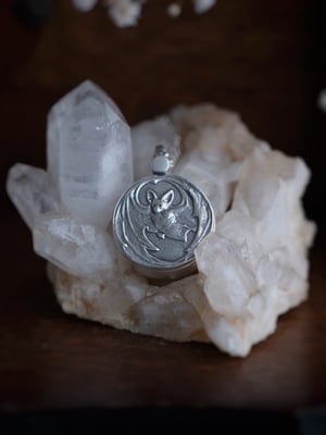 Image of NYX PHOTO LOCKET
