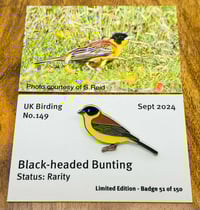 Image 1 of Black-headed Bunting - No.149 - UK Birding Pins