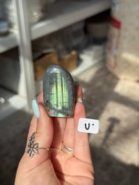 Image 21 of CHOOSE YOUR OWN MINI LABRADORITE FREEFORM -MADAGASCAR-