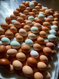 Image 1 of Freeze-Dried Pasture-Raised Eggs | Organic, Non-GMO, Corn & Soy Free | Shelf-Stable 