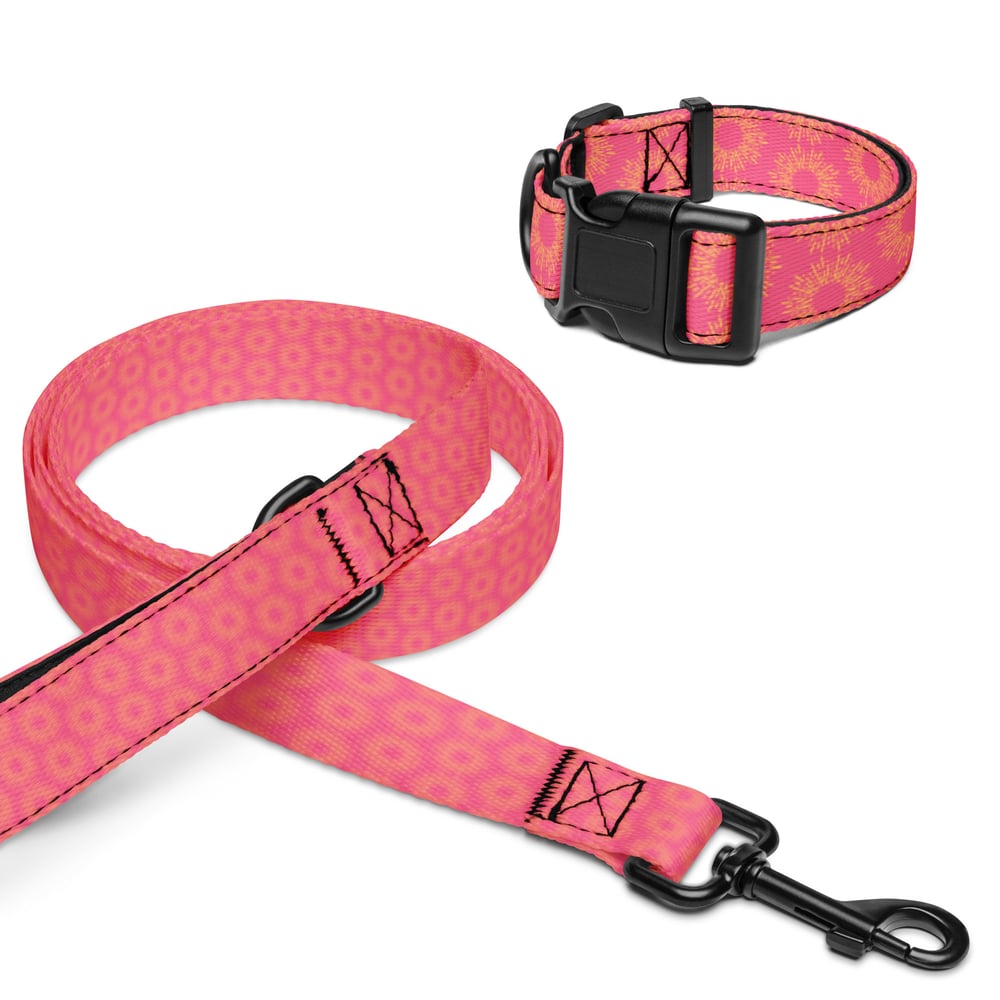 ZEN EXP - Pet collar & leash