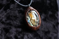 Image 7 of dead good fish head and paua shell necklace