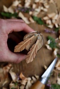 Image 5 of Feather ~ Earrings 