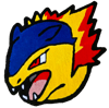 1/1 Typhlosion Rug